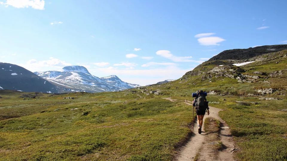 A person is hiking in the north of Sweden.