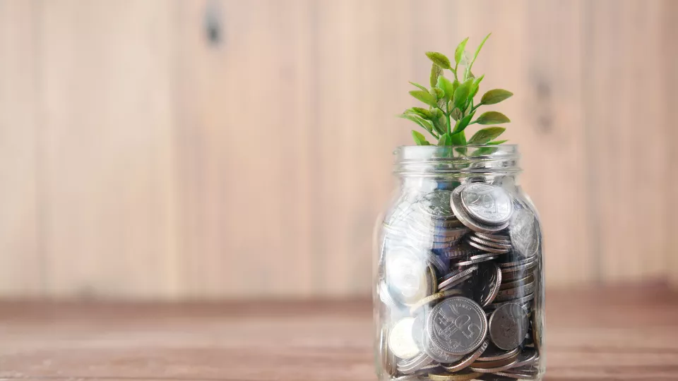 A plant grows in a jar of money.