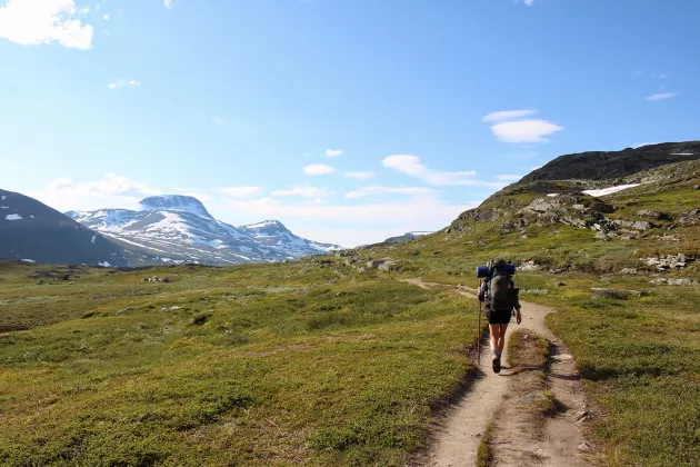 A person is hiking in the north of Sweden.