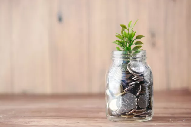 A plant grows in a jar of money.