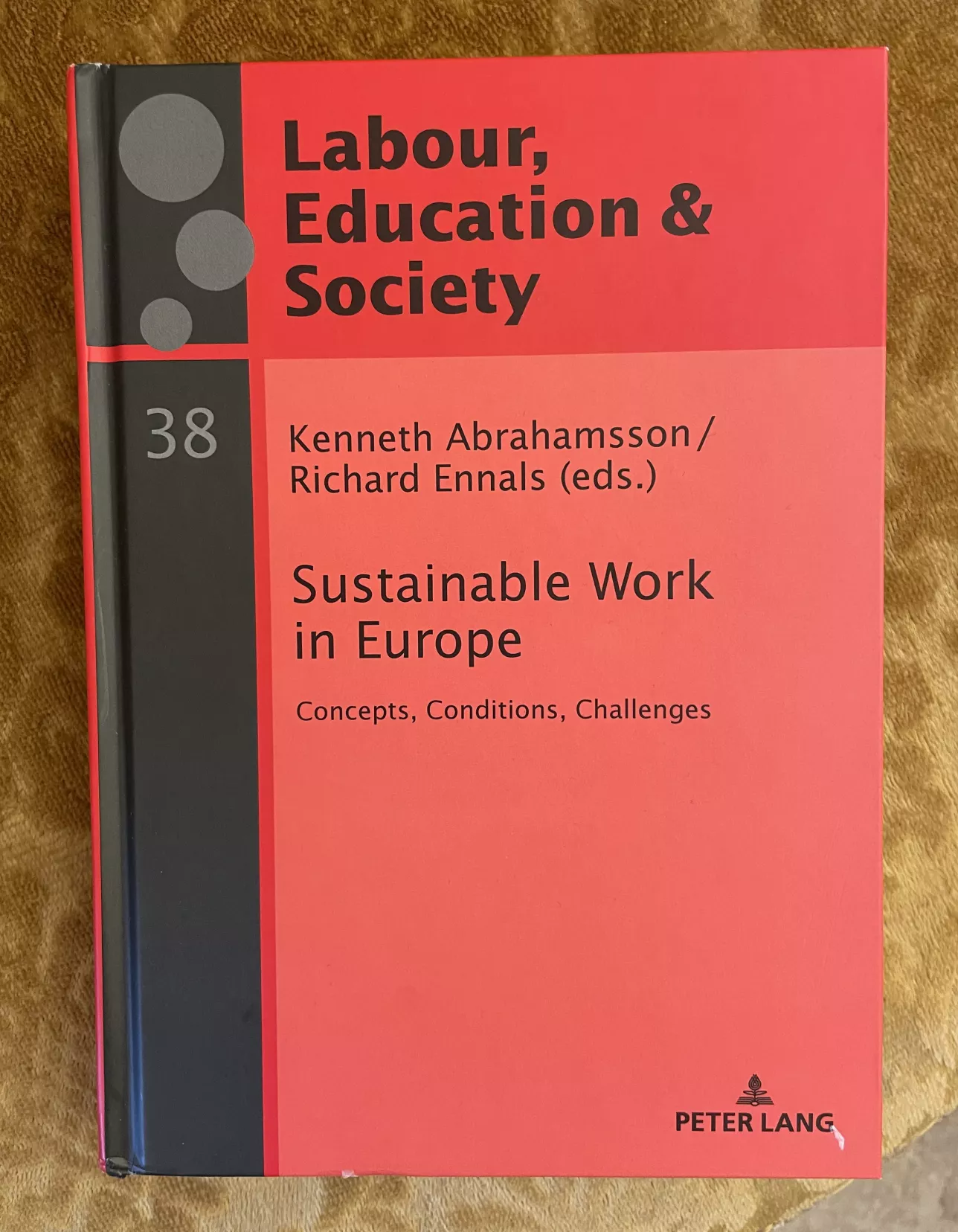 Book cover Labour, education and society. Photo: Emma Lord.
