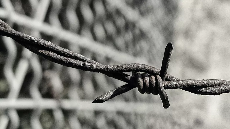 Close up of barbed wire.