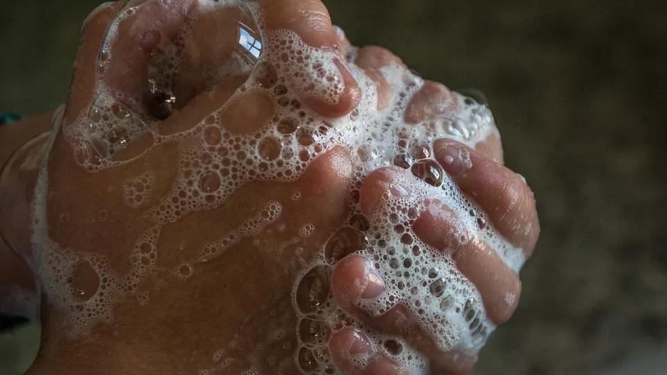 Händer som tvättas i tvål. Foto: Jacqueline Macou, Pixabay.