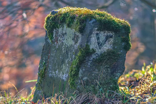 Stone with moss. Photo: Pixabay.