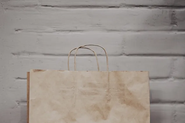 A brown bag, cropped photo. Photo: Dmitry Mashkin, Unsplash. 