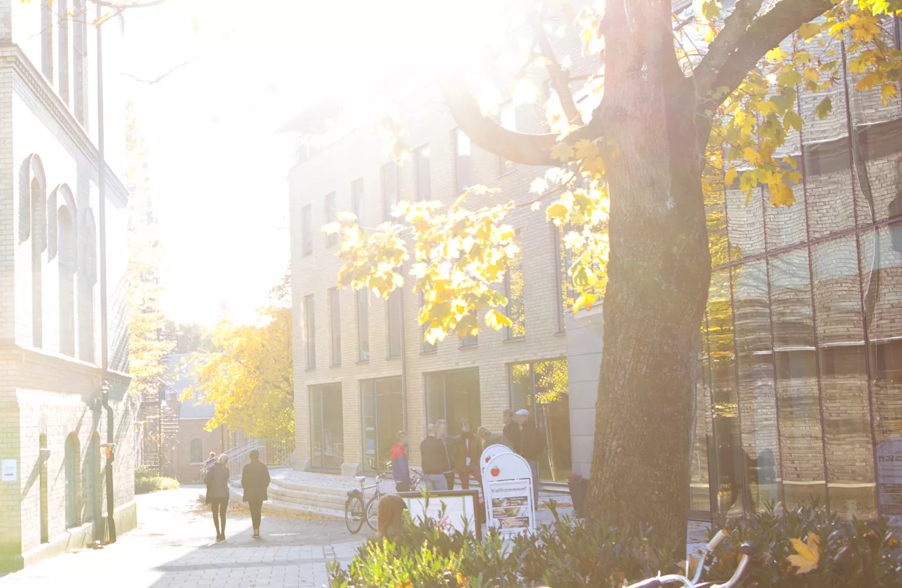 Students in the campus area Paradis in autumn. Photo with faces blurred. 